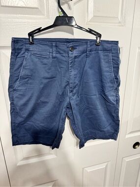 American Eagle Outfitters Navy Blue Flat-Front Shorts